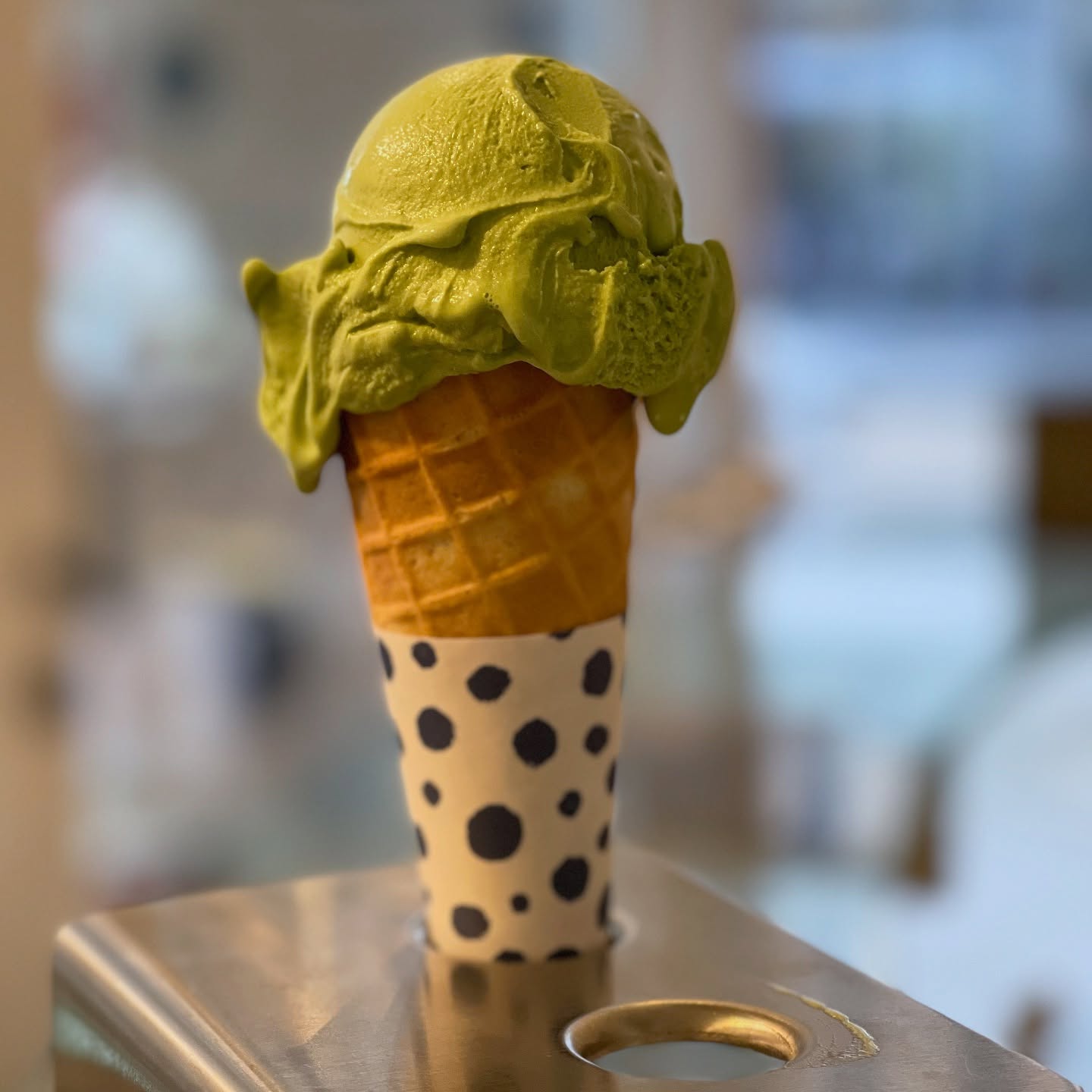 Pistacchio